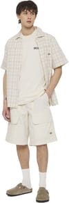 Dickies + Beach Tee SS Whitecap Gray - 6