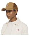 Dickies + Hanston Trucker Brown Duck - 3