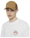 Dickies + Hanston Trucker Brown Duck - 4