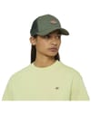 Dickies + Hanston Trucker Dark Forest - 3