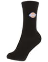 Dickies + Valley Grove Plum Perfect - 4
