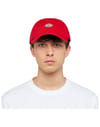 Dickies + Hardwick English Red - 3