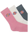 Dickies + Valley Grove Lilas