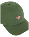 Dickies + Hardwick Cap Sea Spray - 3