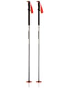 Tour Pole Overcast + Dynafit