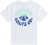 Element + Ambition SS Tee Youth Optic White - 3