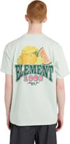 Element + Fruit SS Tee Green Lily - 5