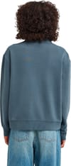 Element + Lowcase Pigment Quarter Zip Sweatshirt W Dark Slate - 4