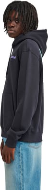 Element + Joint Hooded Sweatshirt Flint Black - 6