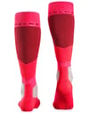 Falke + SK2 Intermediate W Rose