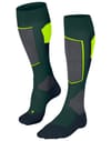 SK4 Advanced M Holly + Falke
