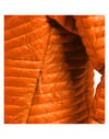Haglöfs + L.I.M Mimic Hood Men Flame Orange - 8
