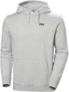 Helly-Hansen + Core Graphic Hoodie Grey Melange