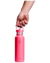 Hydro flask + 21 Oz Standard Flex Straw Cap Popstar Pink - 3