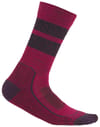 W Merino Hike+ Light Crew Natural Summit Electpink/Nghtshad/Blk + Icebreaker