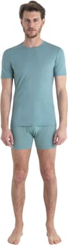 Icebreaker + Men Merino Anatomica SS Crewe Cloud Ray - 5