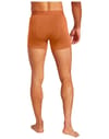 Icebreaker + M Merino 125 Cool-Lite Anatomica Boxers Dusty Clay - 3
