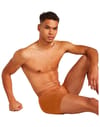 Icebreaker + M Merino 125 Cool-Lite Anatomica Boxers Dusty Clay - 6