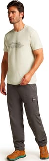 Icebreaker + M Merino 150 Tech Lite SS T Pukaki Ref Ashen - 4