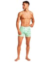Icebreaker + M Merino 150 Anatomica Boxers Explore More Mint/Aop - 5