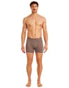 Icebreaker + M Merino 150 Anatomica Boxers Porcini - 4