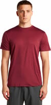 Icebreaker + M Merino 150 Tech Lite SS Tee Port