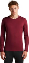 Icebreaker + M Merino 200 Oasis LS Crewe Port
