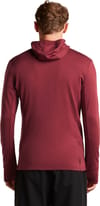 Icebreaker + M Merino 260 Quantum LS Zip Hoodie Port Agate - 3