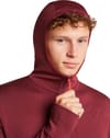 Icebreaker + M Merino 260 Quantum LS Zip Hoodie Port Agate - 6