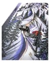Jones Snowboards + Women's Dream Weaver 2.0 Splitboard 2027 - 7