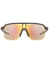 Julbo + Frequency Bordeaux / Gris Clair Reactiv 1-3 Lagp - 4