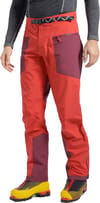 La Sportiva + Alpine Guide GTX Pants M Black/Yellow - 3