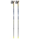 Traveler FX One Carbon + Leki