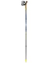 Leki + Traveler FX One Carbon