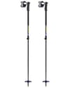 Detect Vario TR XL + Leki