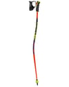 Leki + WCR Evo Lite GS TR