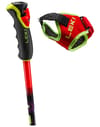 Leki + WCR Pro GS TR