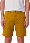 Looking for Wild + Annot M Golden Palm