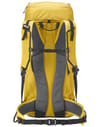 Millet + Prolighter38+10 Safran