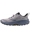 + Mizuno Neo Daichi 10 Ws Dapple Gray/Wild Wind/Vulcan