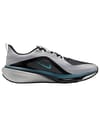 Nike Pegasus 42 GTX LT Smoke Grey/Bright Spruce