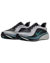 Nike Pegasus 42 GTX LT Smoke Grey/Bright Spruce