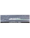Nitro + Alternator FX Splitboard 2027 - 5