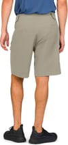 Norrona + Femund Flex1 Light Shorts M'S Winter Twig - 4