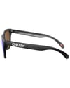 Oakley + Frogskins Matte Black