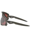 Oakley + Wind Jacket 2.0 Matte Olive Prizm Snow Black