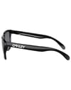 Oakley + Frogskins Polished Black Grey