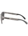 Oakley + Frogskins Range Titanium/Prizm Black Polar - 3
