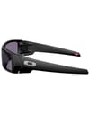 Oakley + Gascan Matte Black Prizm Grey - 4