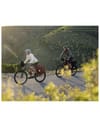 Ortlieb + Back-Roller Plus QL2.2 20L Dark Chili - 9